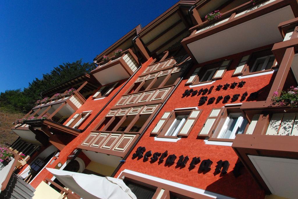 Hotel Foresta Moena Zewnętrze zdjęcie